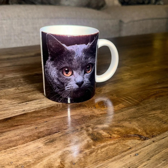 VTG 1993 CAT MUG CUP “A dog is a dog, a bird is a bird, and a cat is a person.” - Picture 4 of 6
